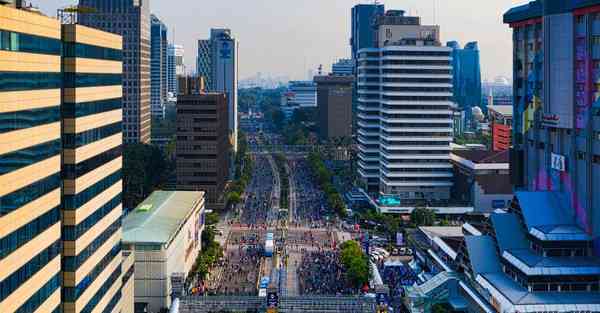 属兔2024年1月11日运势,属兔人2024年1月11日财运,生肖兔2024年1月11日运势